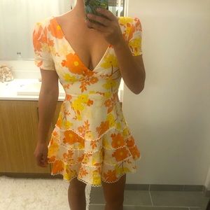 NWT showpo fit and flare tea dress